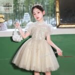 Premium Embroidered Festive Knee-Length Frock with Tiara - Image 4